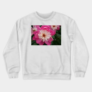 Summer Colour, June 2020 Crewneck Sweatshirt